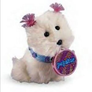 American Girl coconut tambourine set